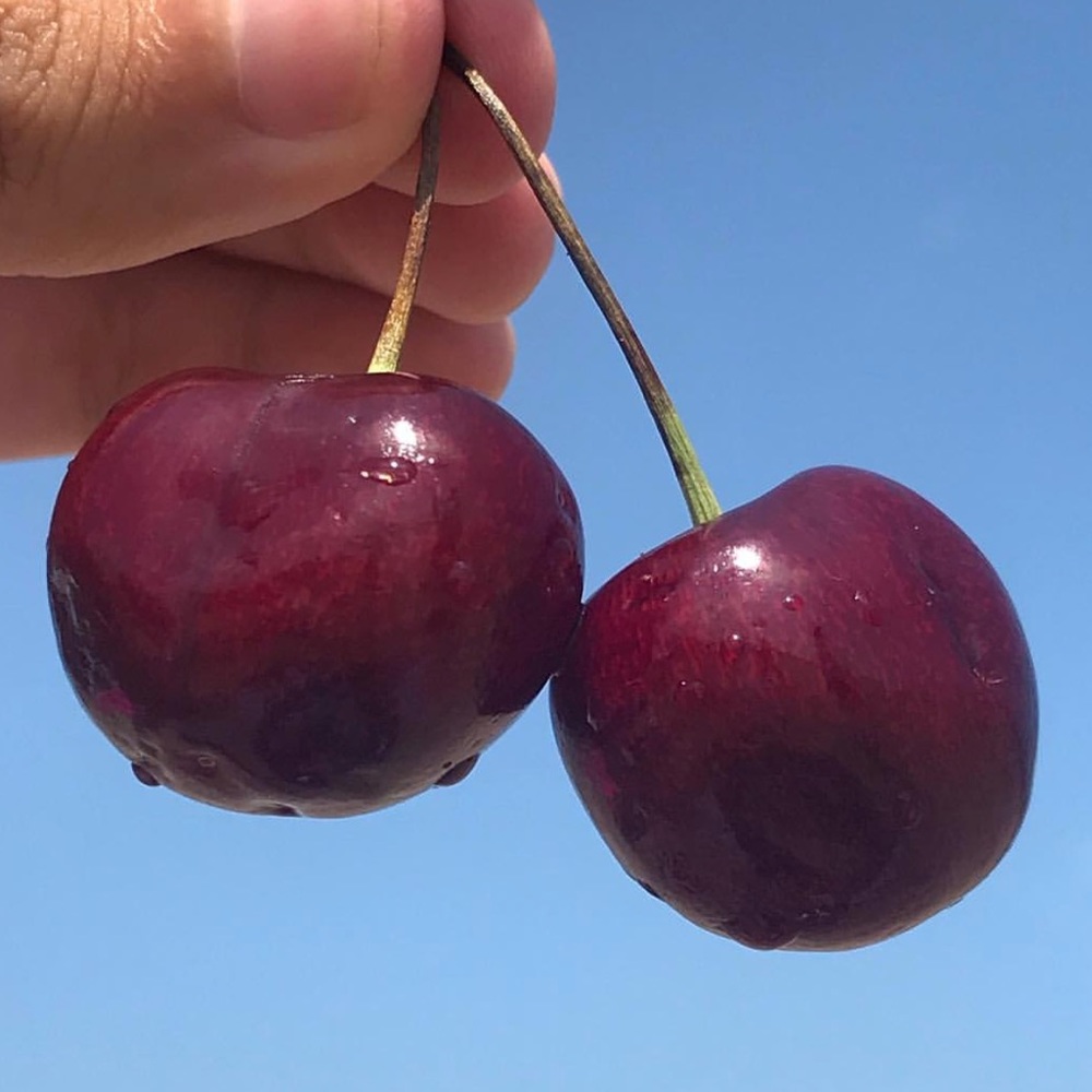 Meet your Posher, Nathan